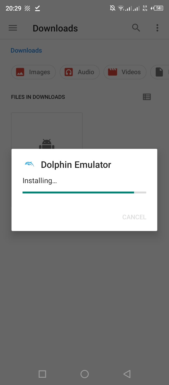 Dolphin Emulator 1